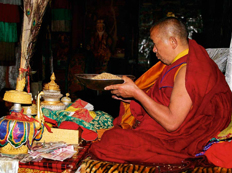 Новая Велнес-Апицампа от Тенториум по рецептам тибетских монахов