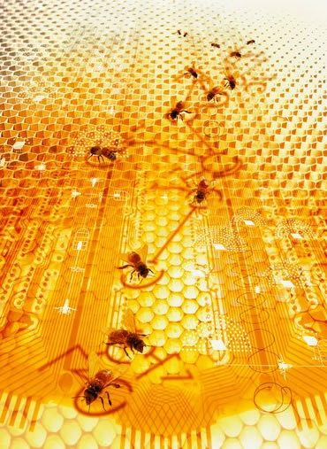 Обзор химического состава мёда